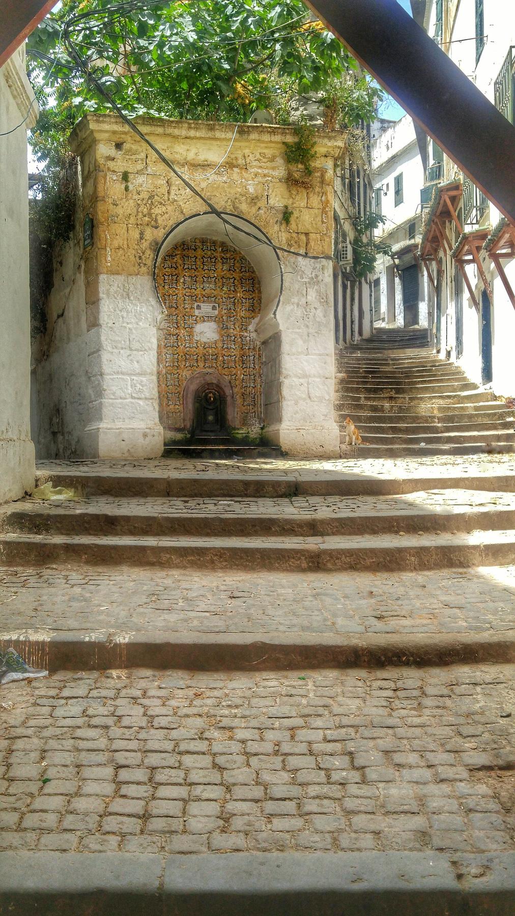 Algiers neighborhood