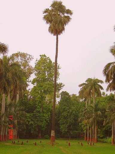 neighborhood in Aligarh