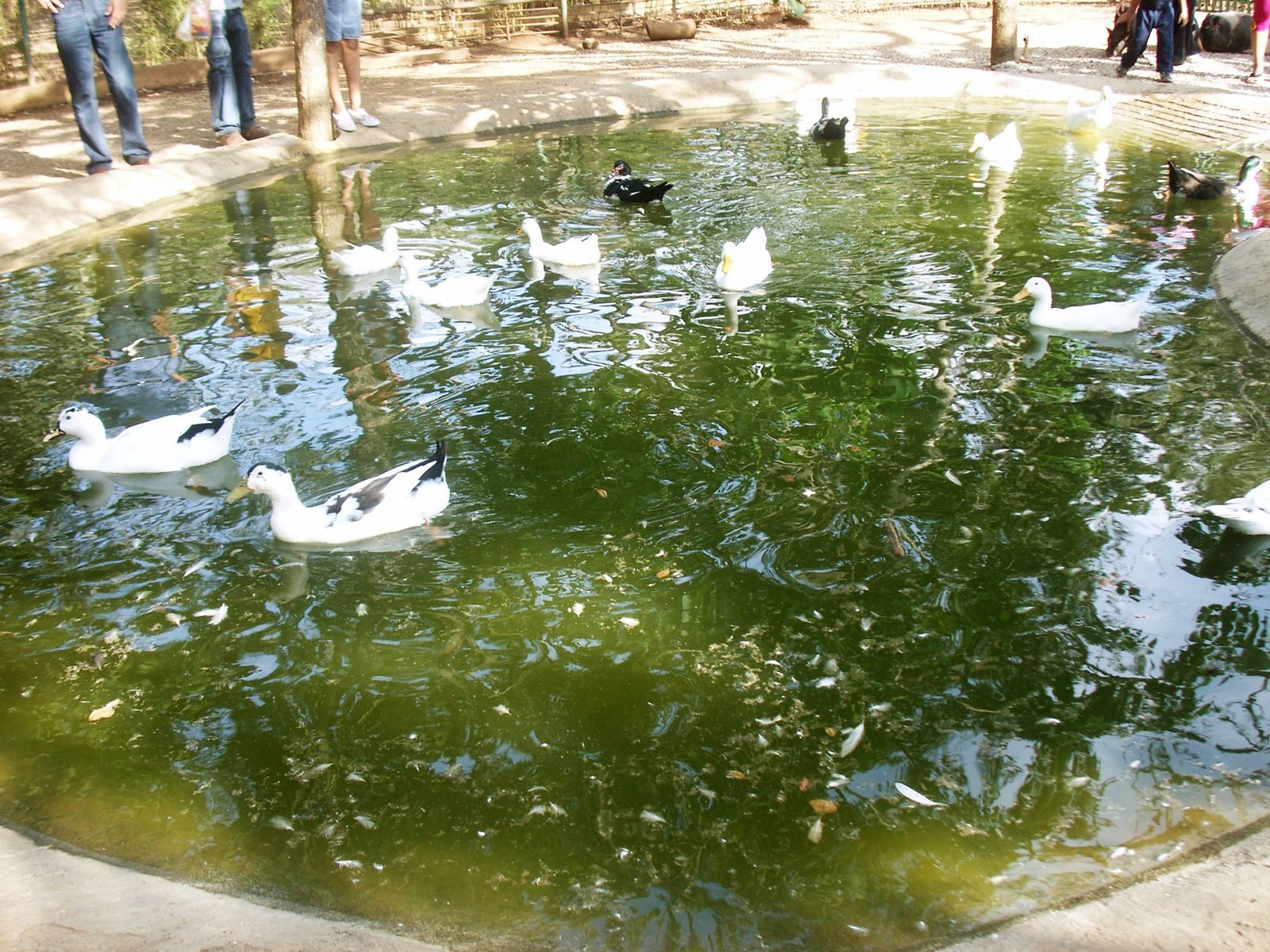 neighborhood in Barquisimeto