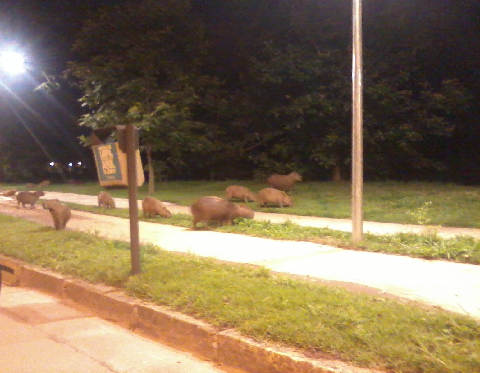 Major attraction in Belo Horizonte