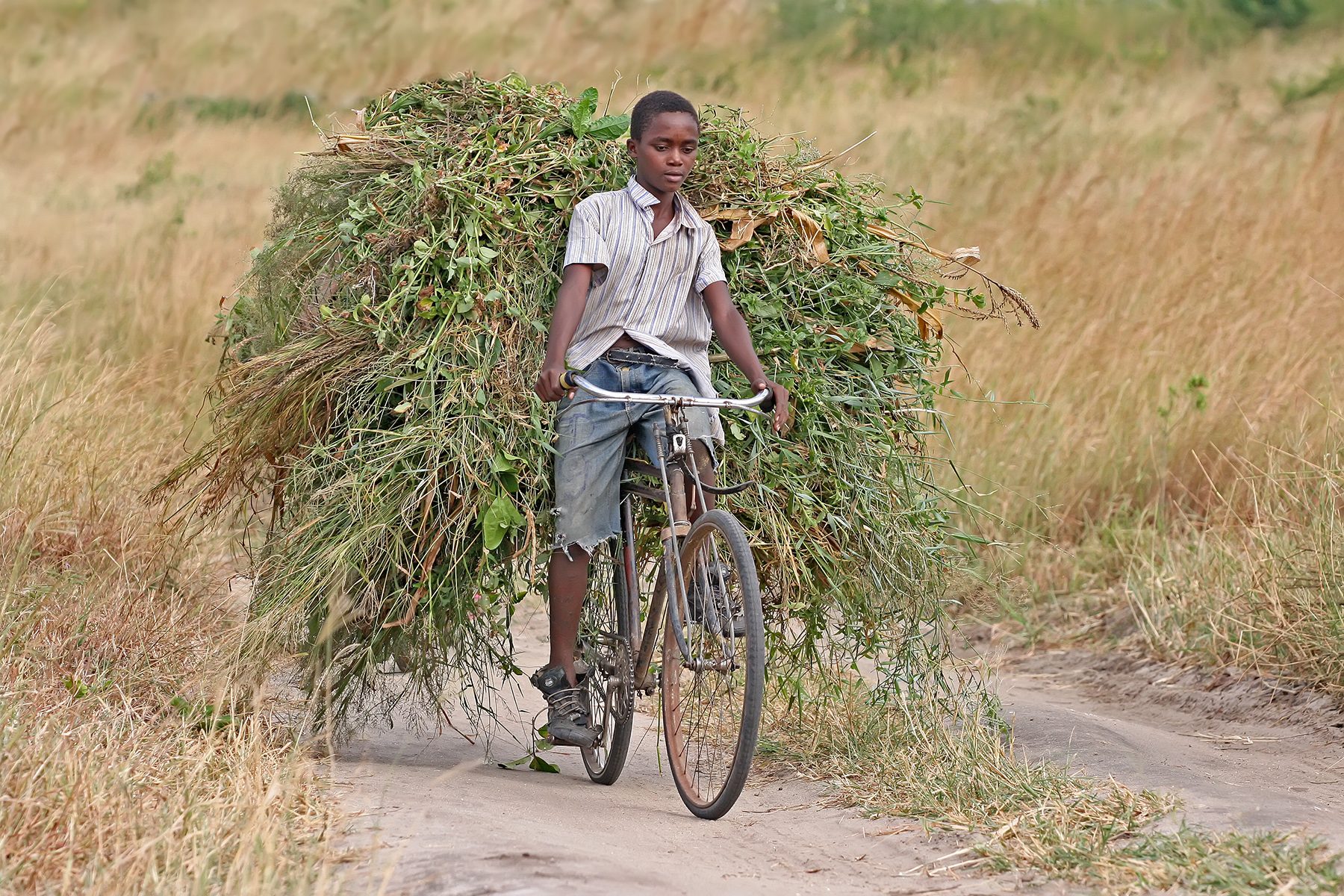 Transport scene in Bobo-Dioulasso