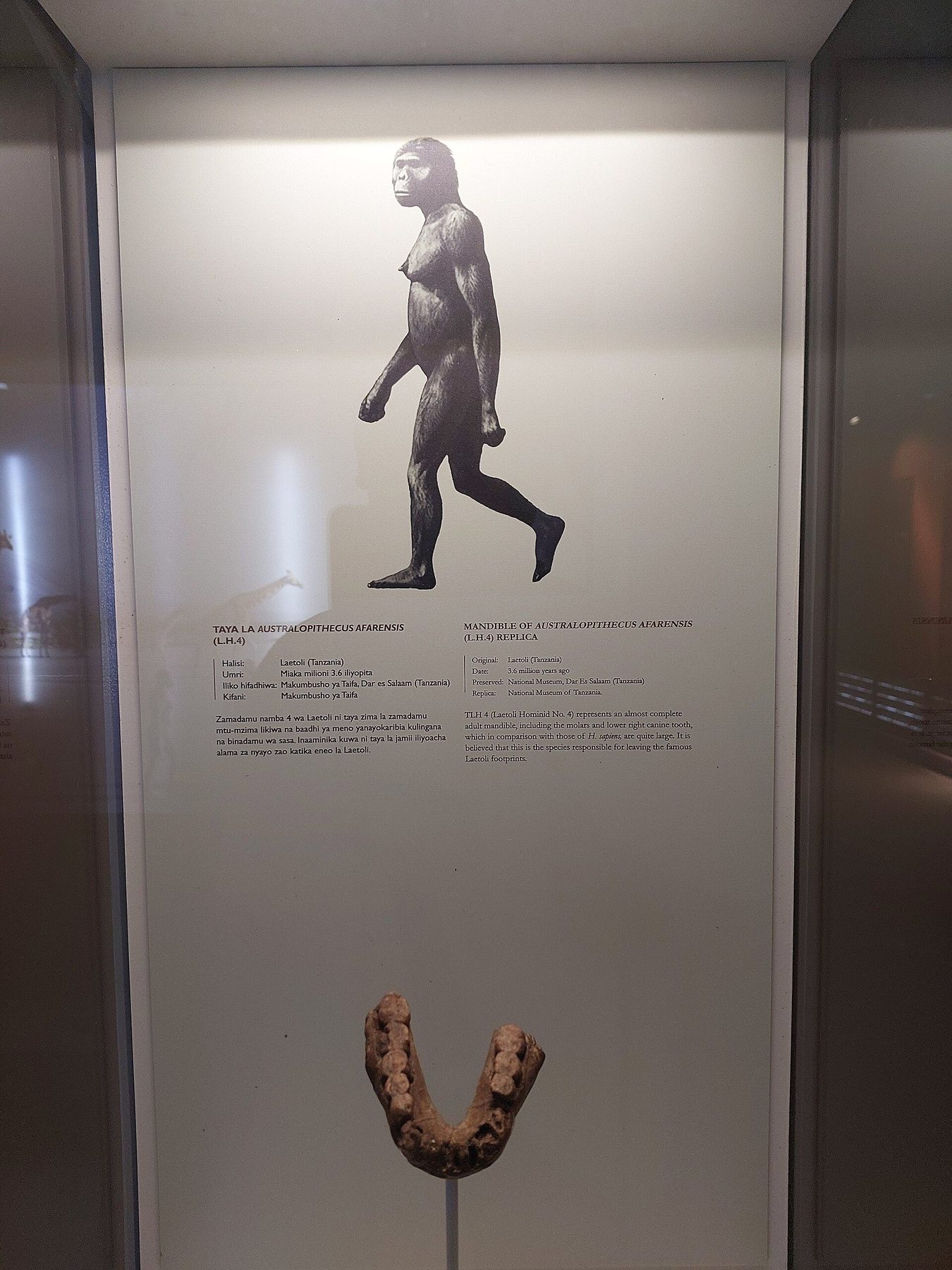 Major attraction in Dar es Salaam