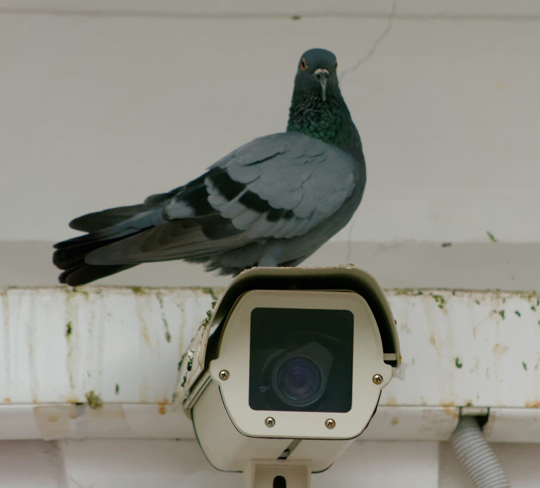 neighborhood in Delhi