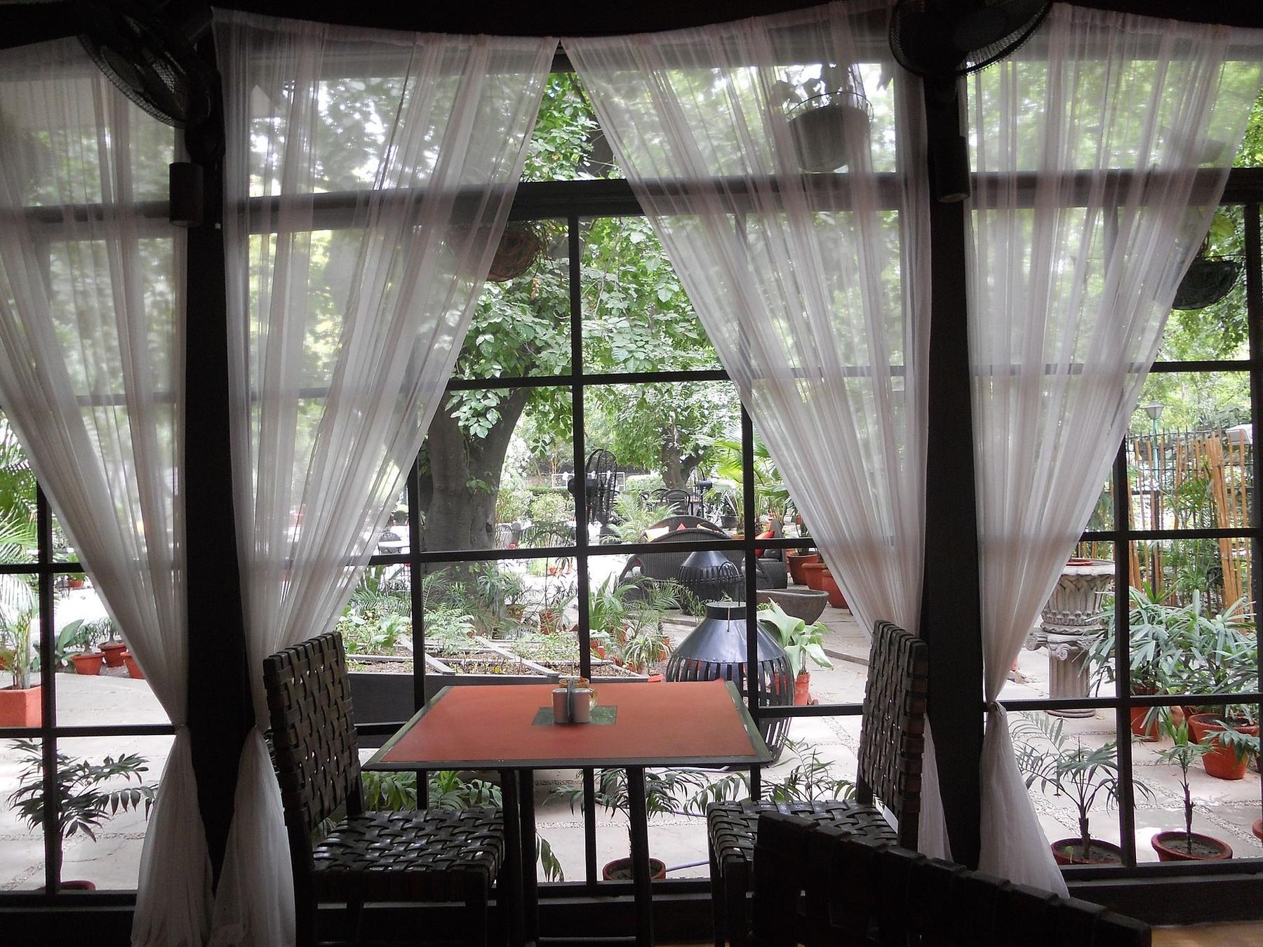 Restaurant scene in Delhi