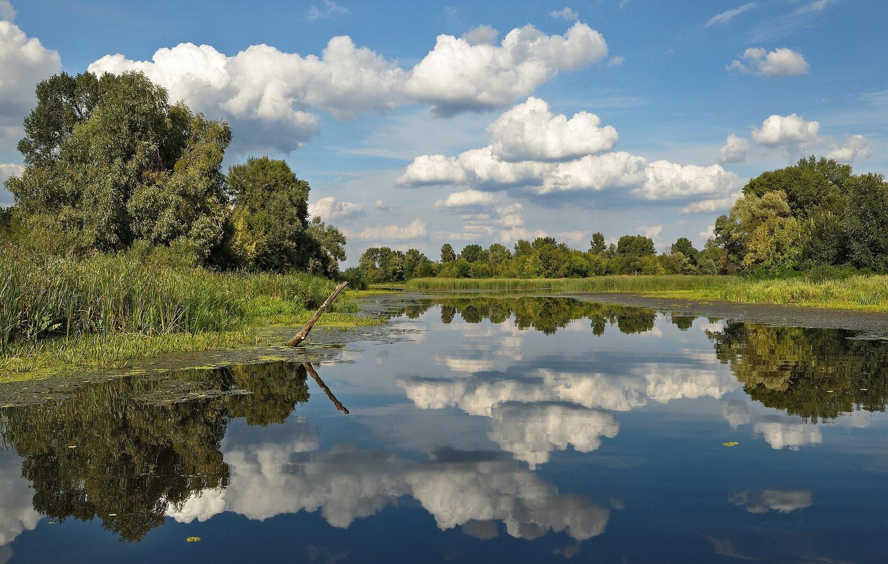 neighborhood in Dnipro