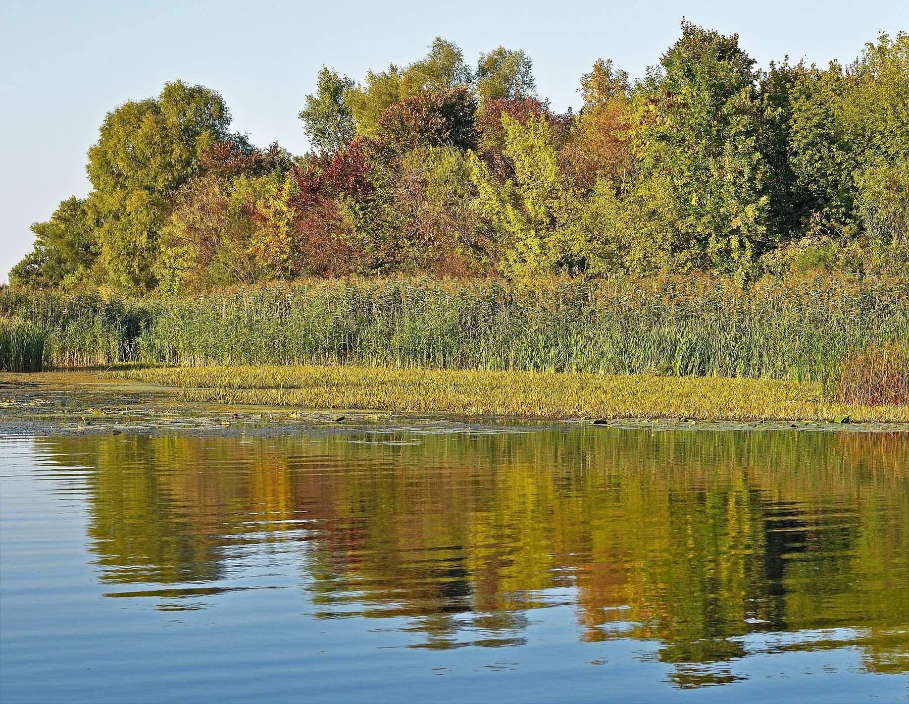 Shopping scene in Dnipro