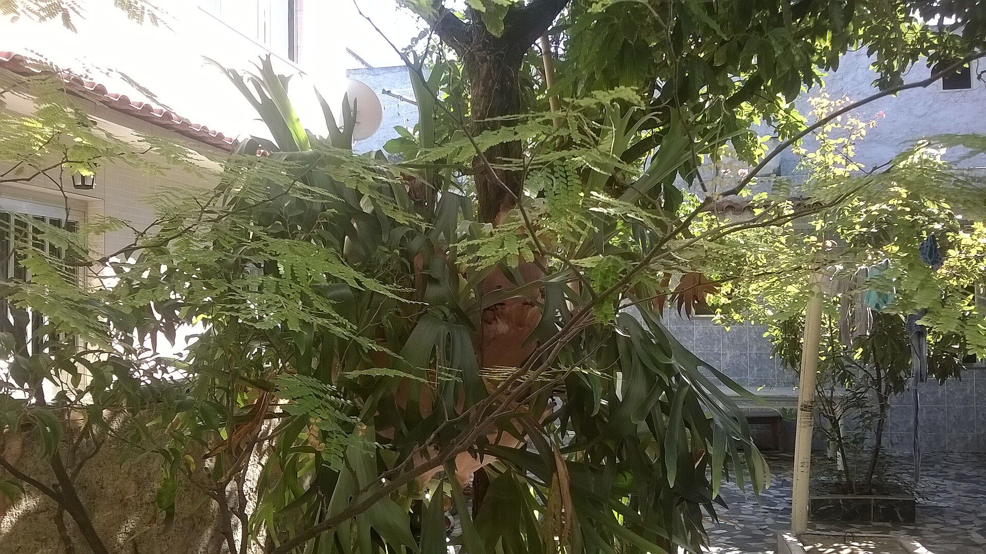 Transport scene in Duque de Caxias