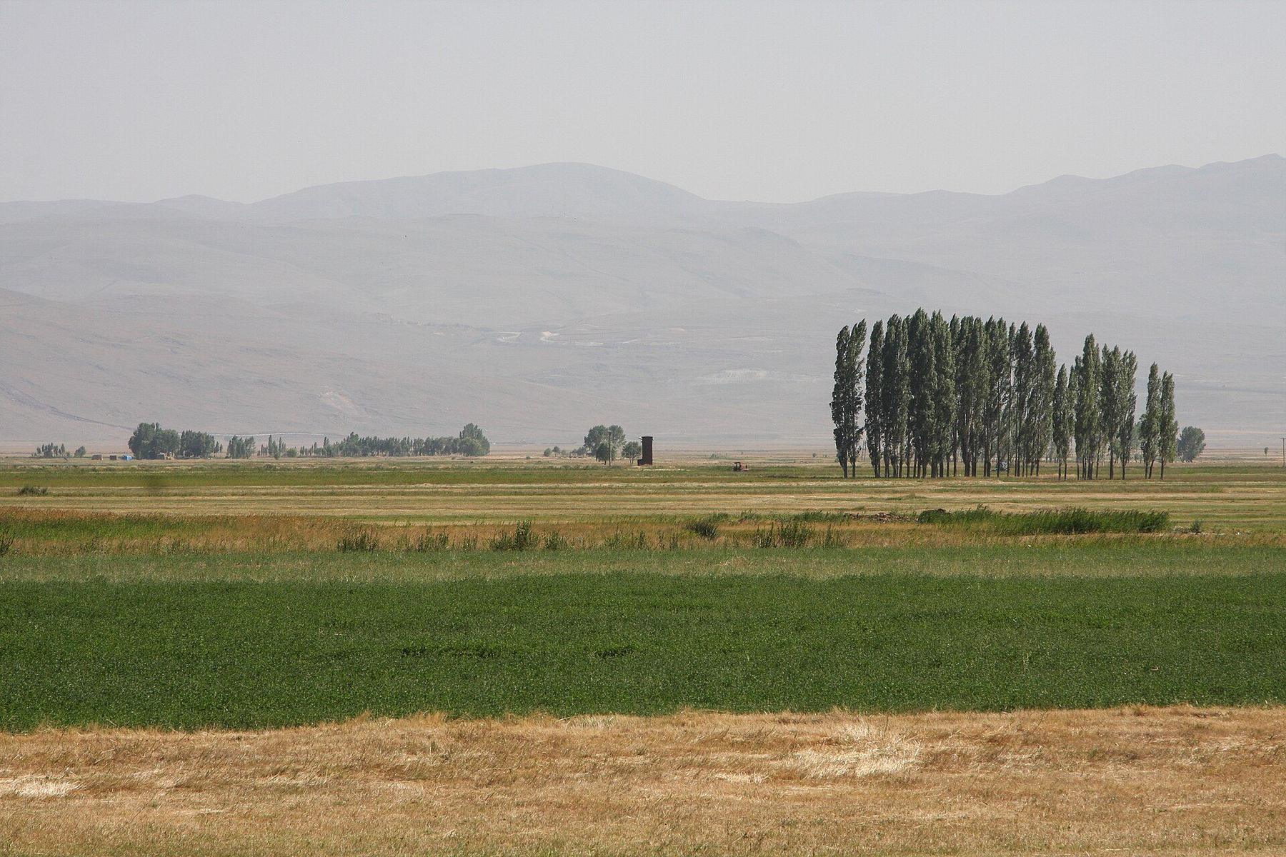 neighborhood in Erzurum