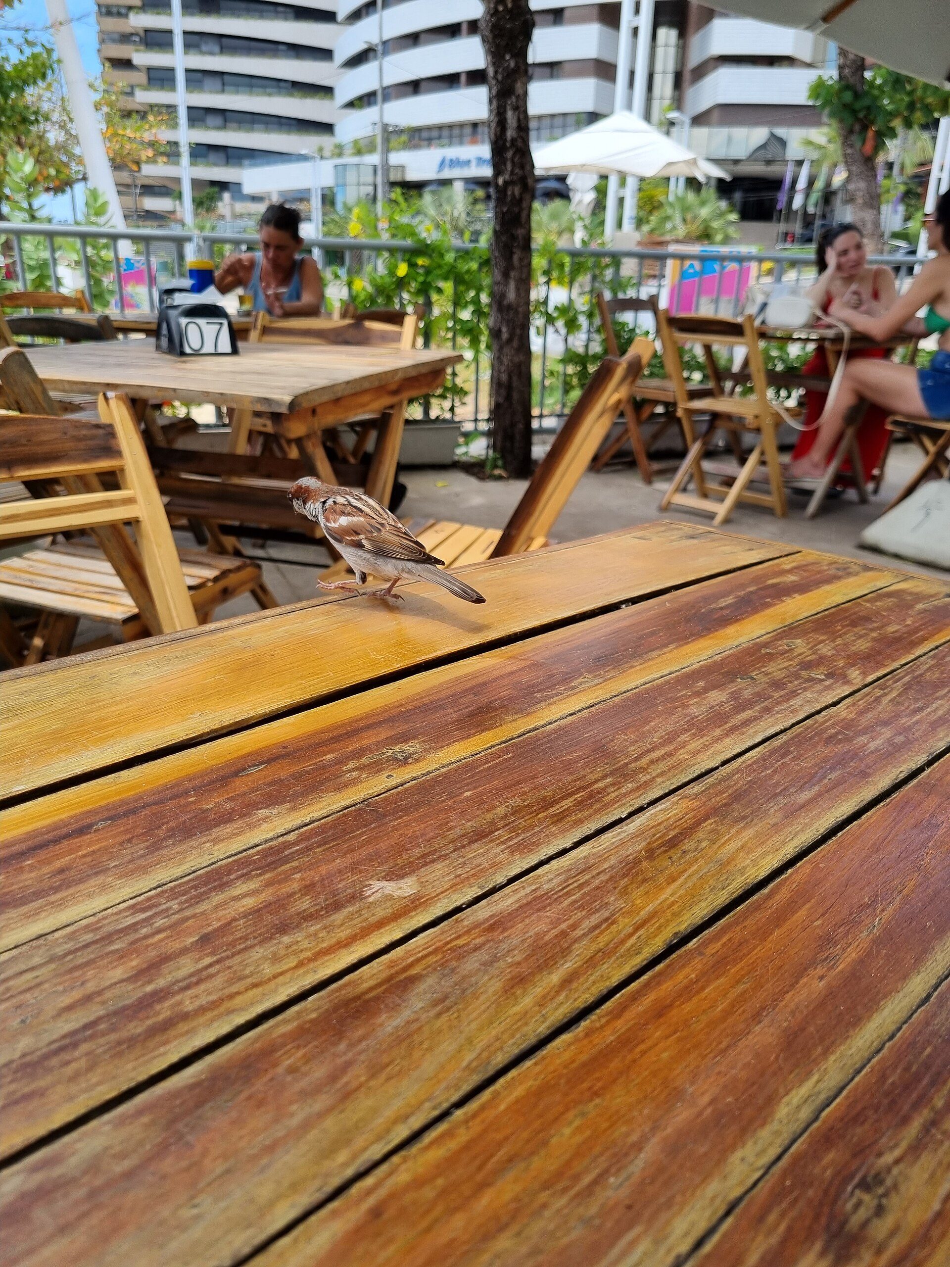 Restaurant scene in Fortaleza