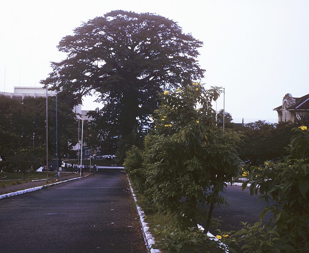 Major attraction in Freetown