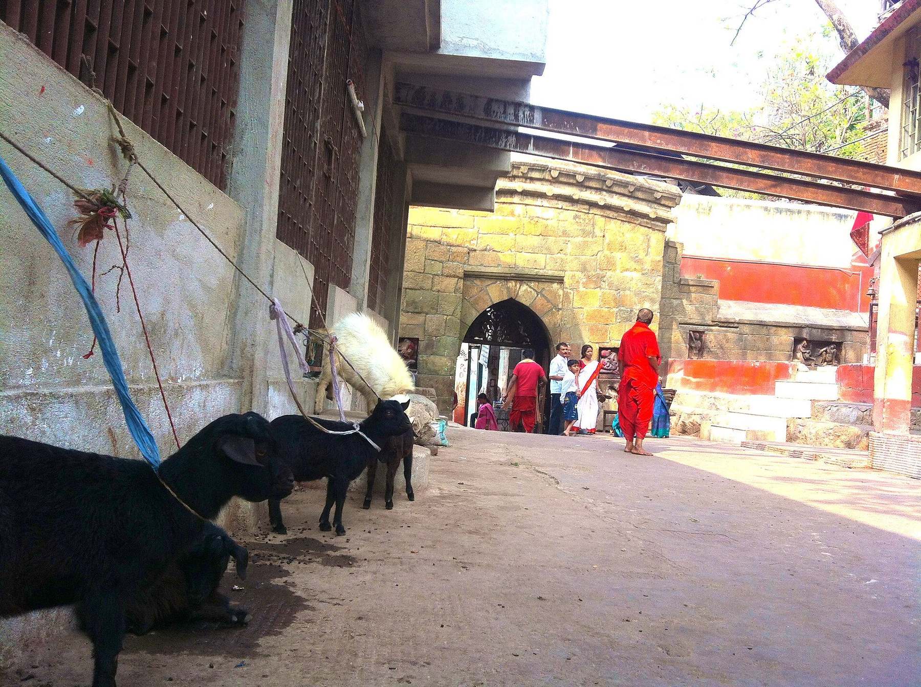 Major attraction in Guwahati