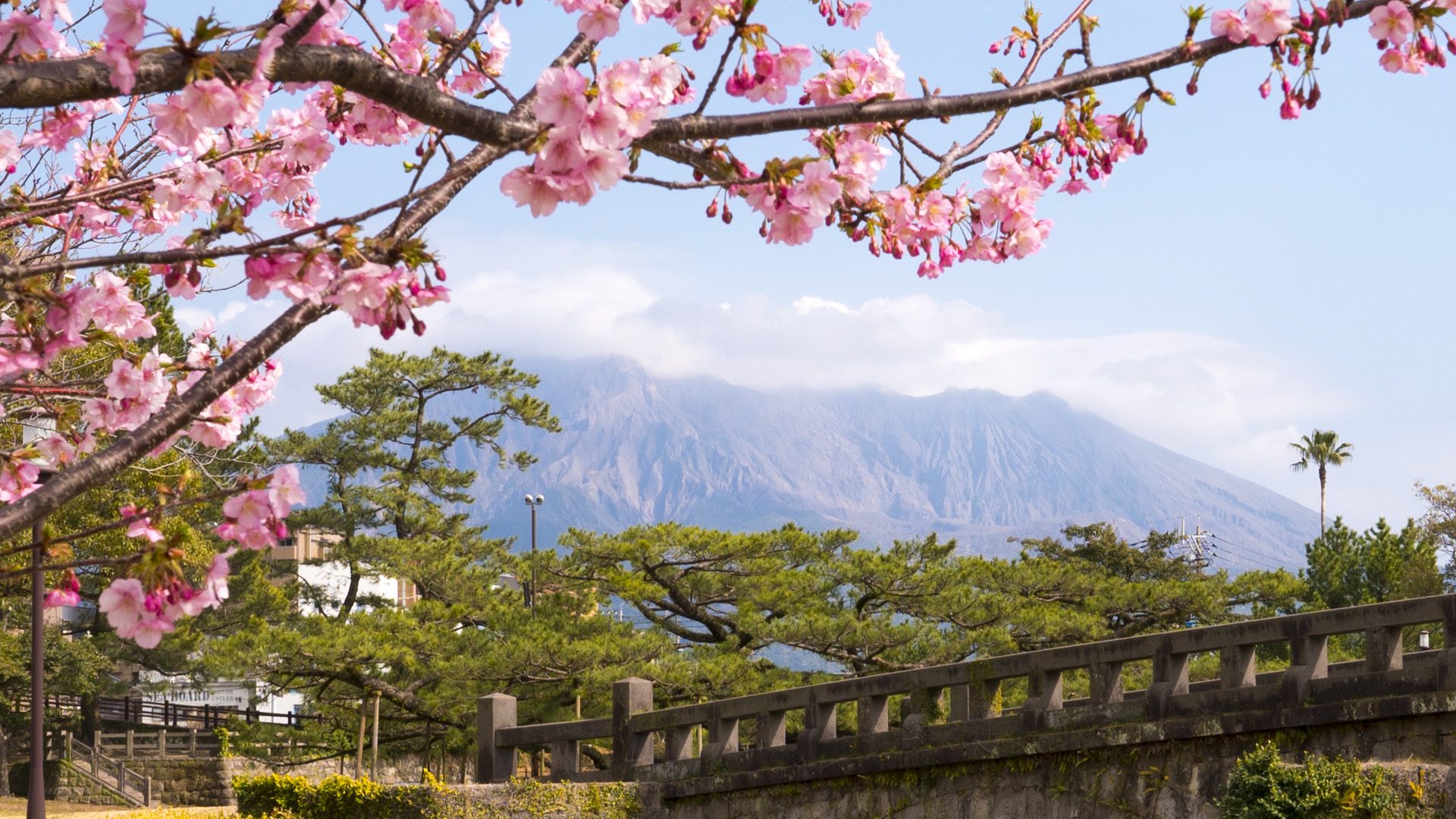 Kagoshima attraction planning at Sakurajima