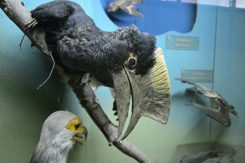 Major attraction in Kampala