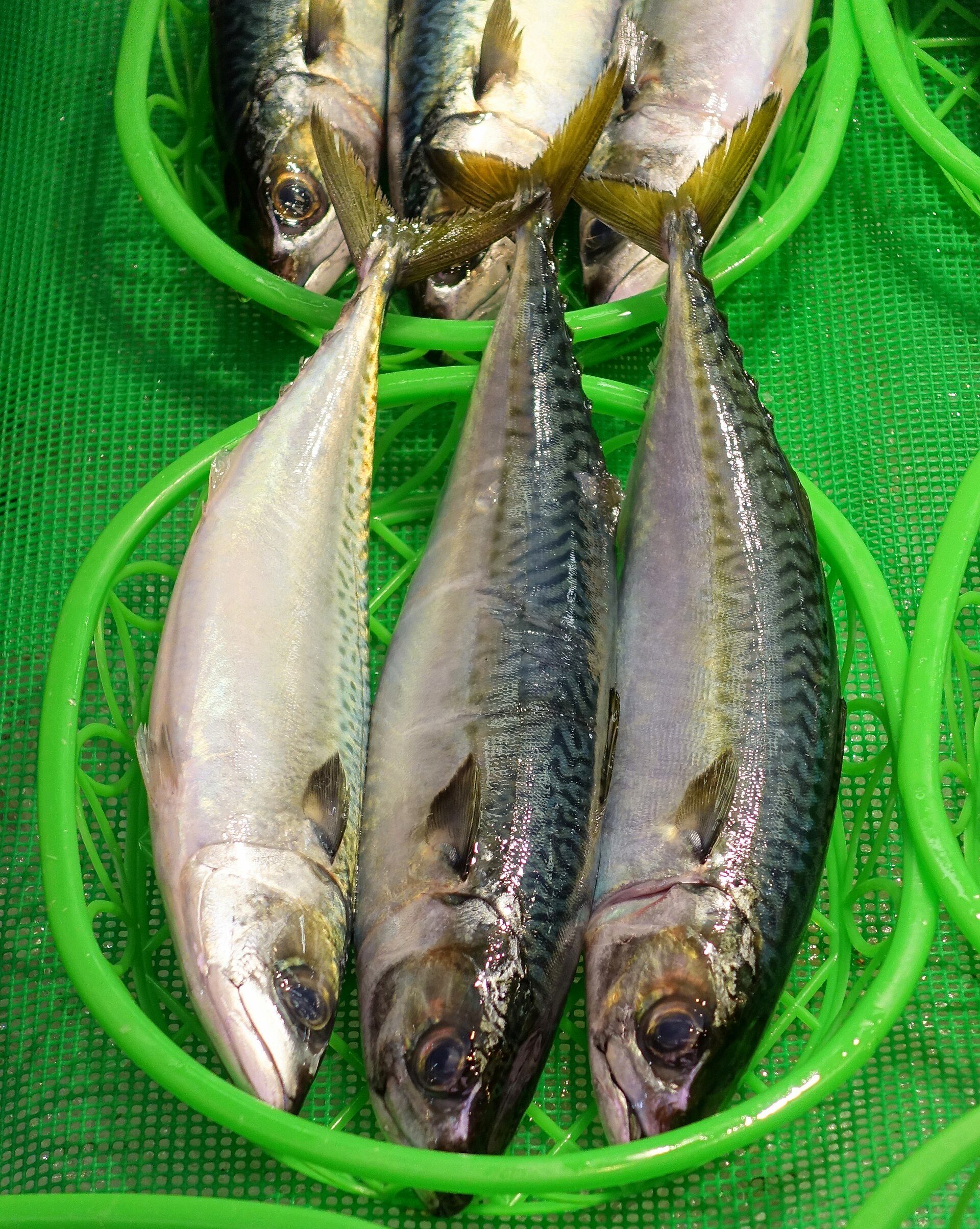 Kanazawa food route around Omicho Market