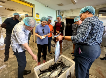 Shopping or market scene in Kingstown