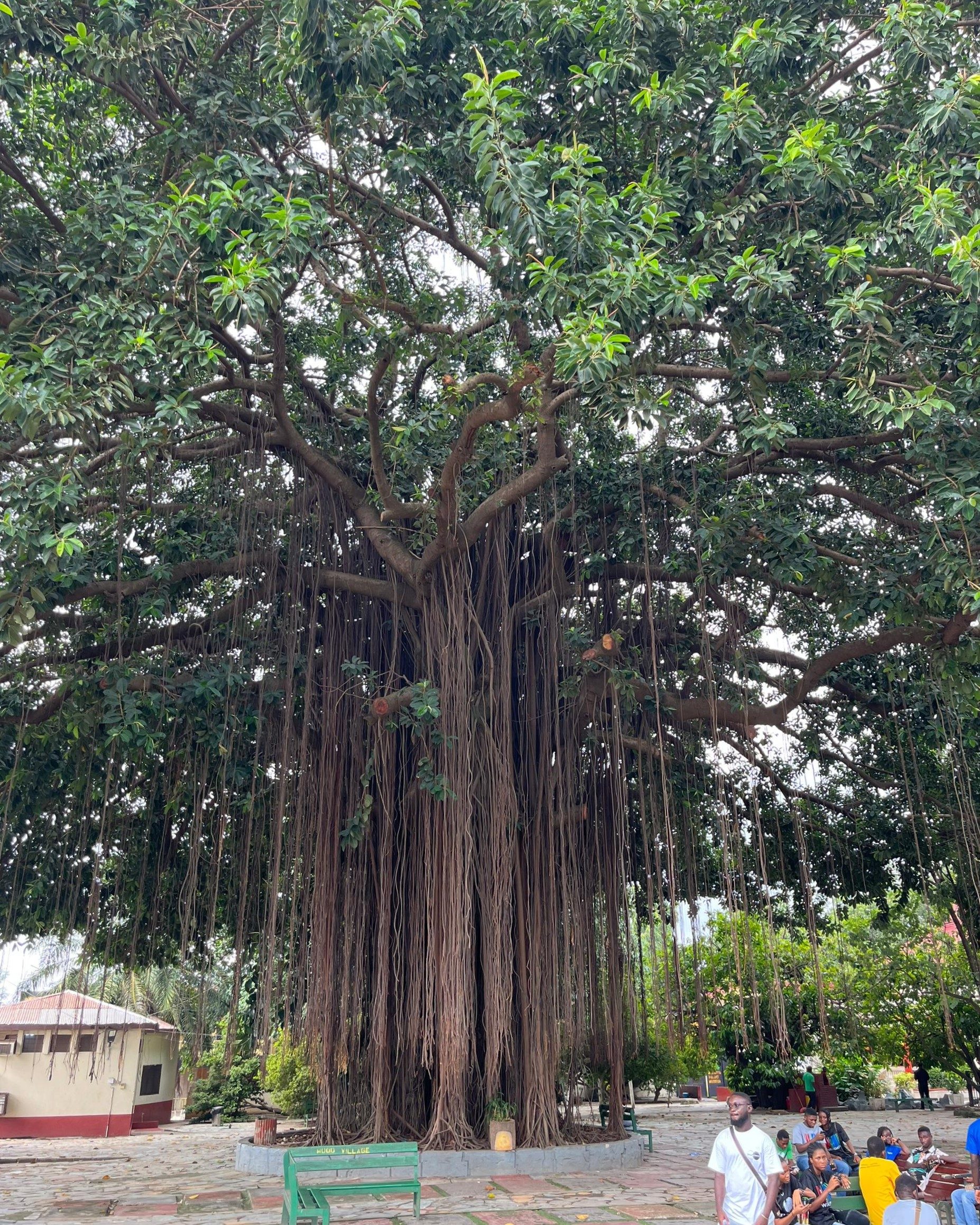 Major attraction in Kumasi