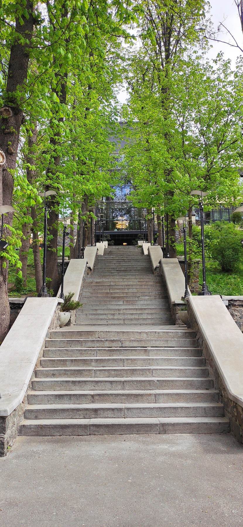 Restaurant scene in Kyiv