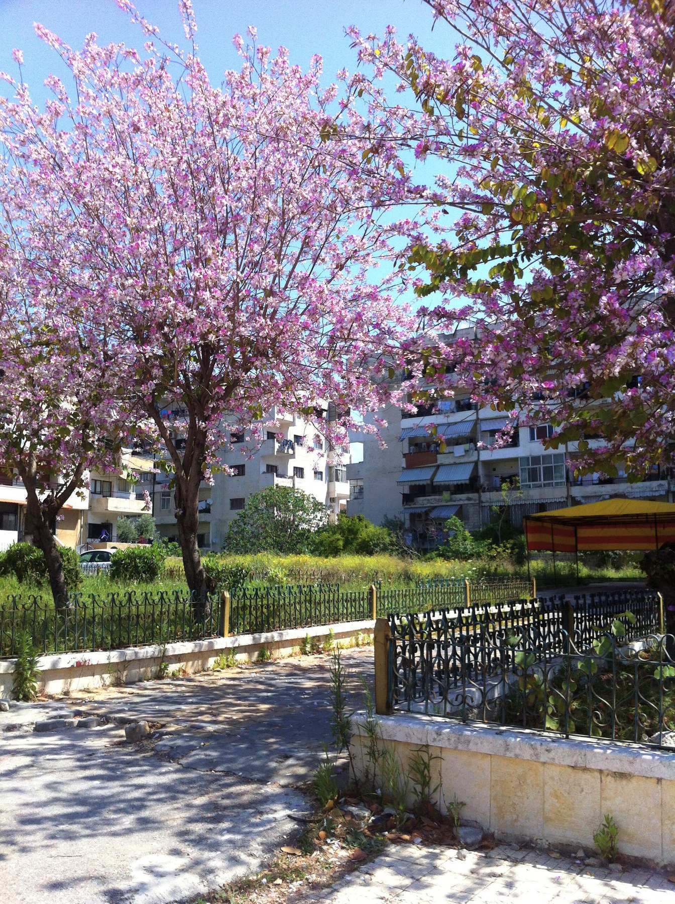 neighborhood in Latakia