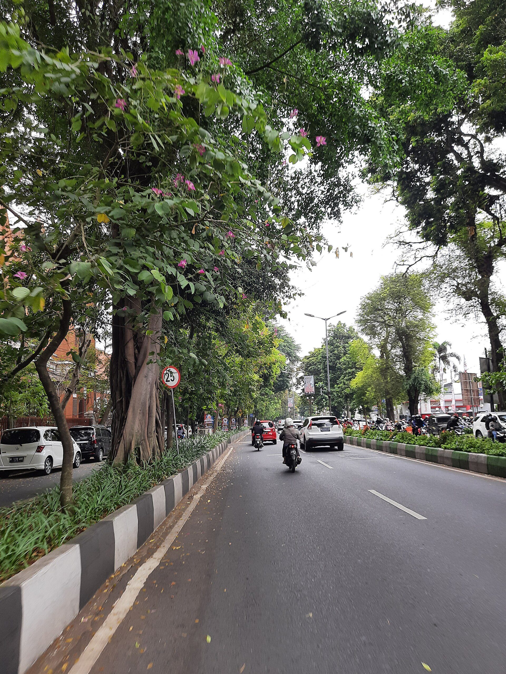 neighborhood in Malang