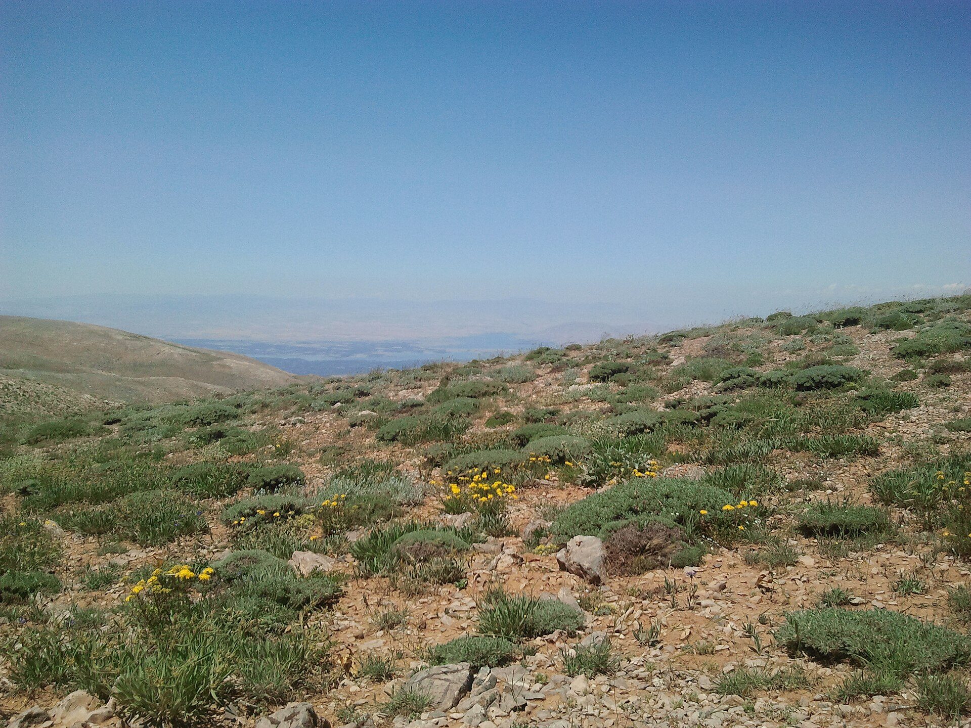 neighborhood in Malatya