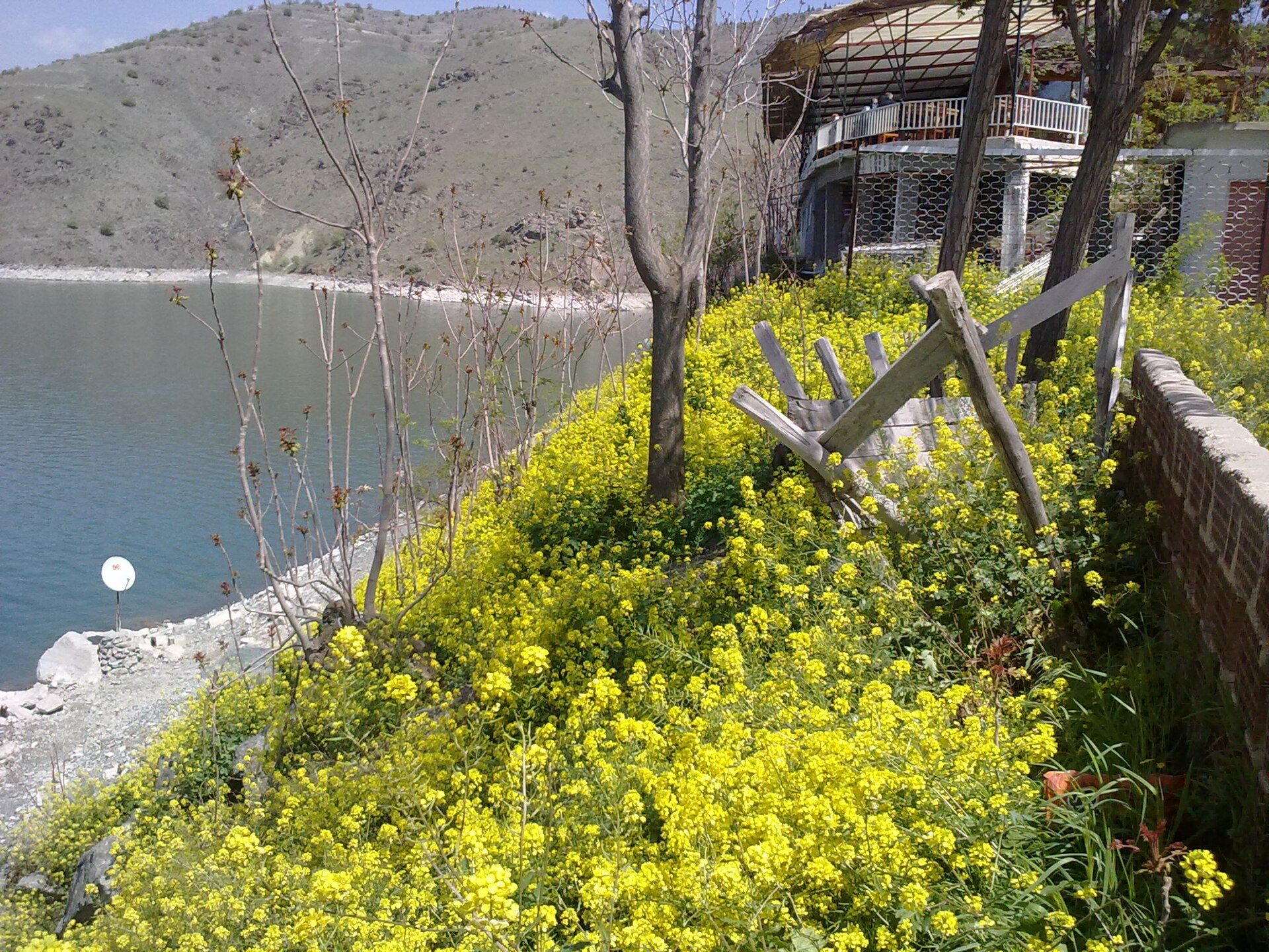 Restaurant scene in Malatya