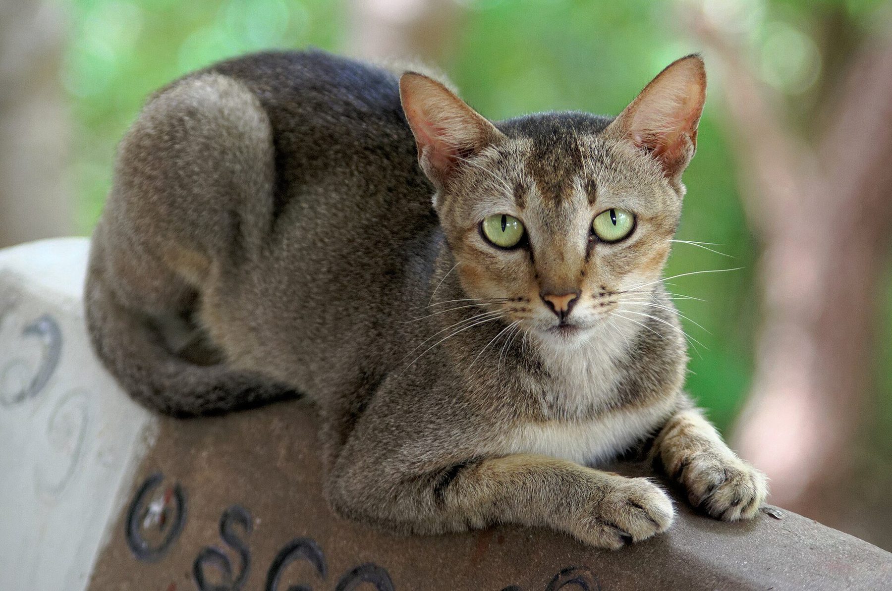 Major attraction in Mandalay