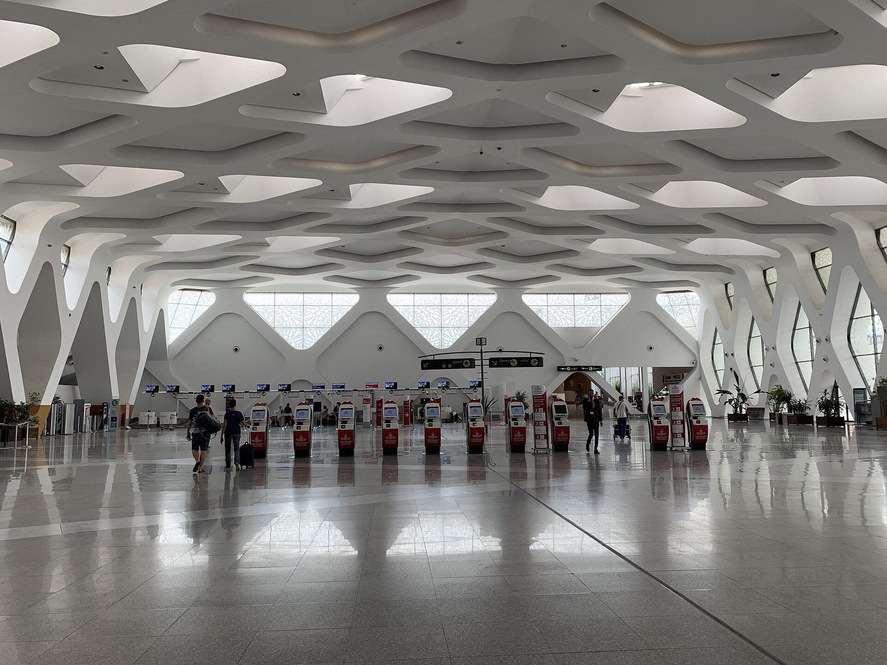 Transport scene in Marrakesh