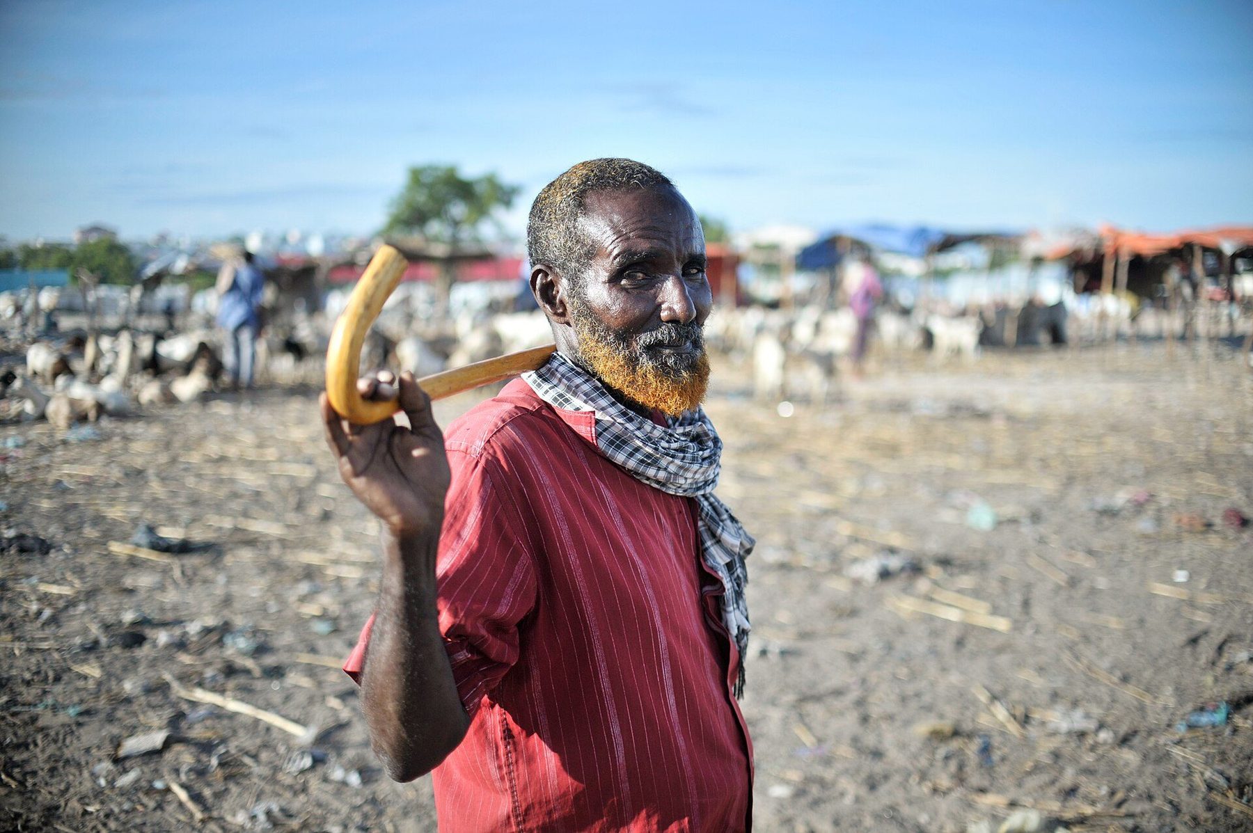 Shopping scene in Mogadishu