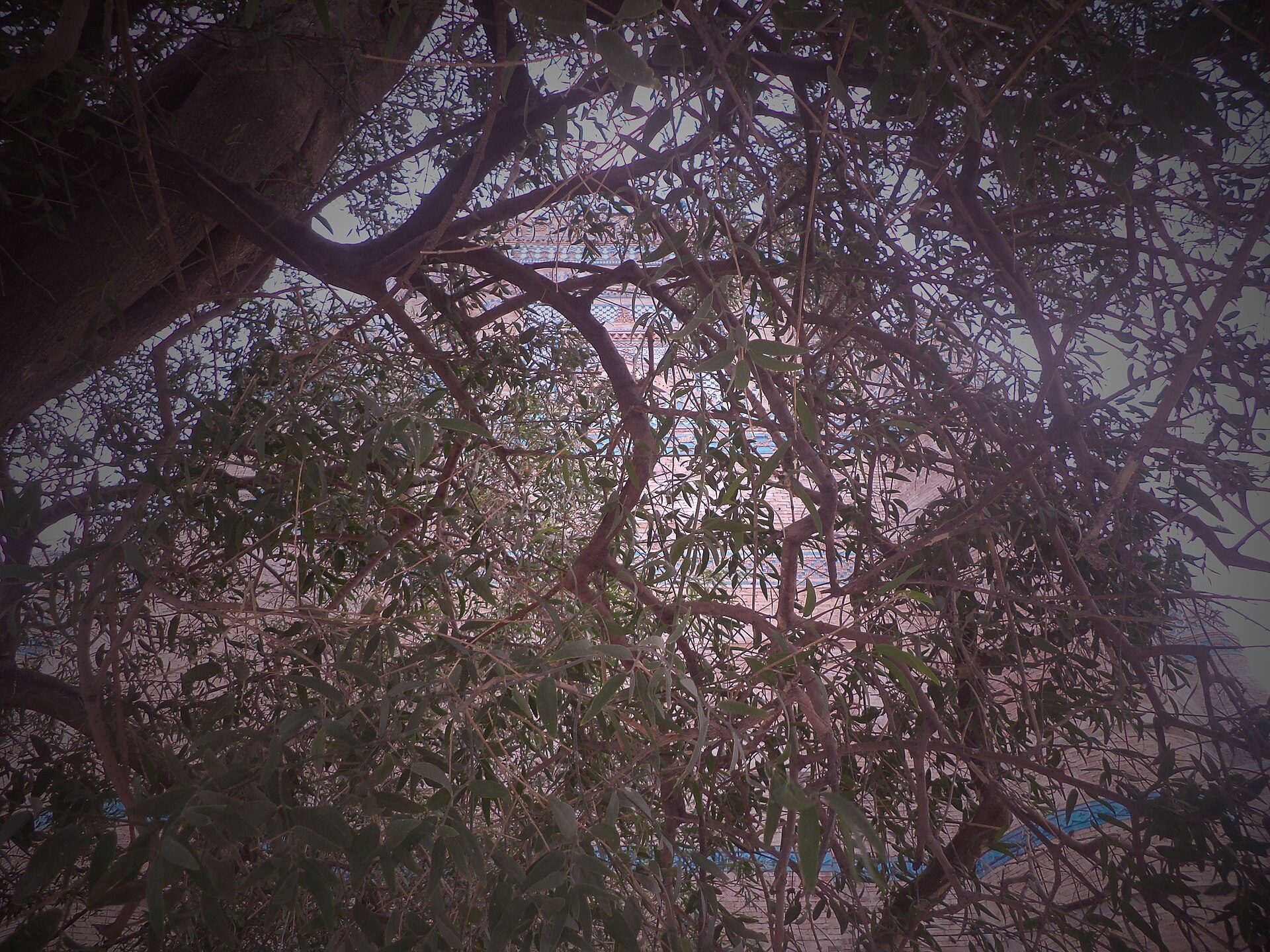 Major attraction in Multan