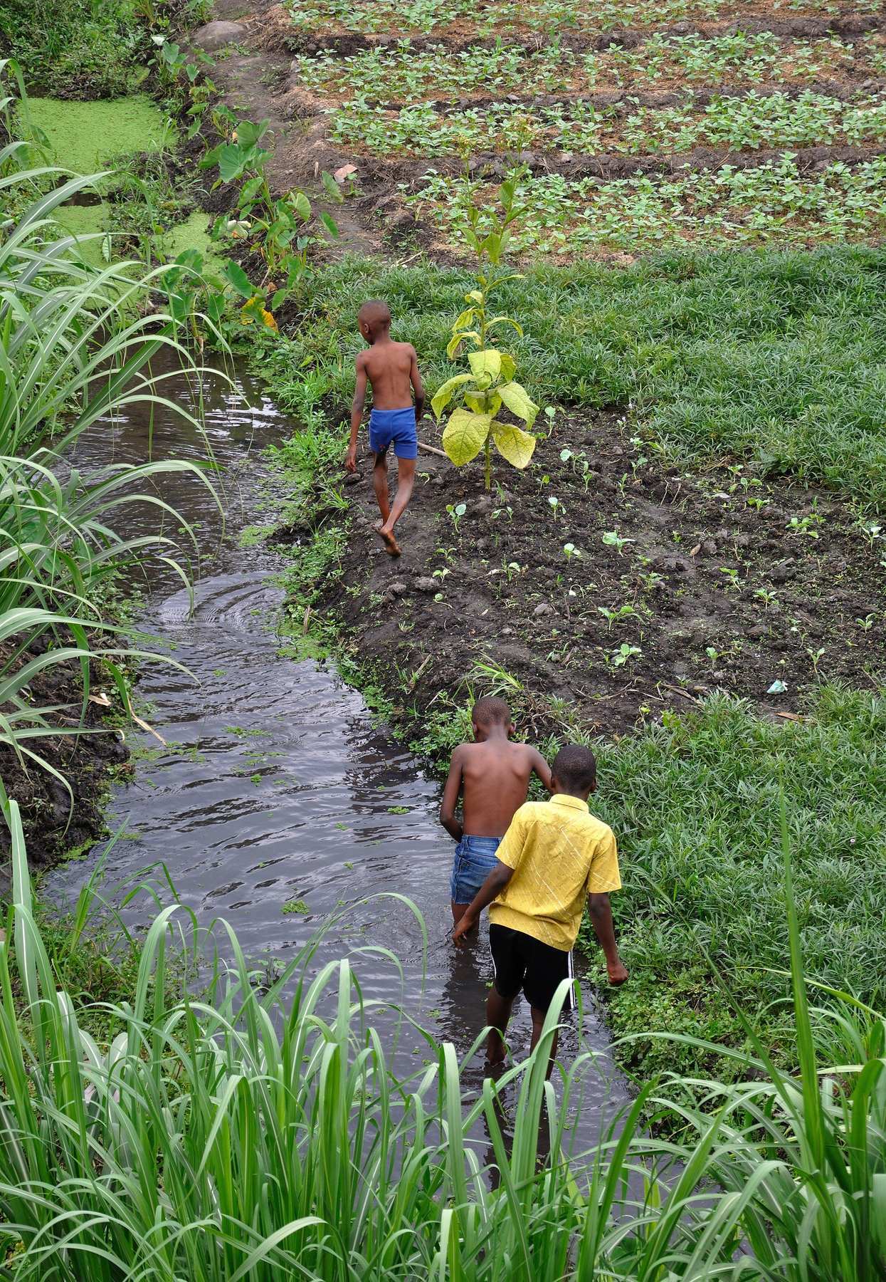 neighborhood in Mwanza