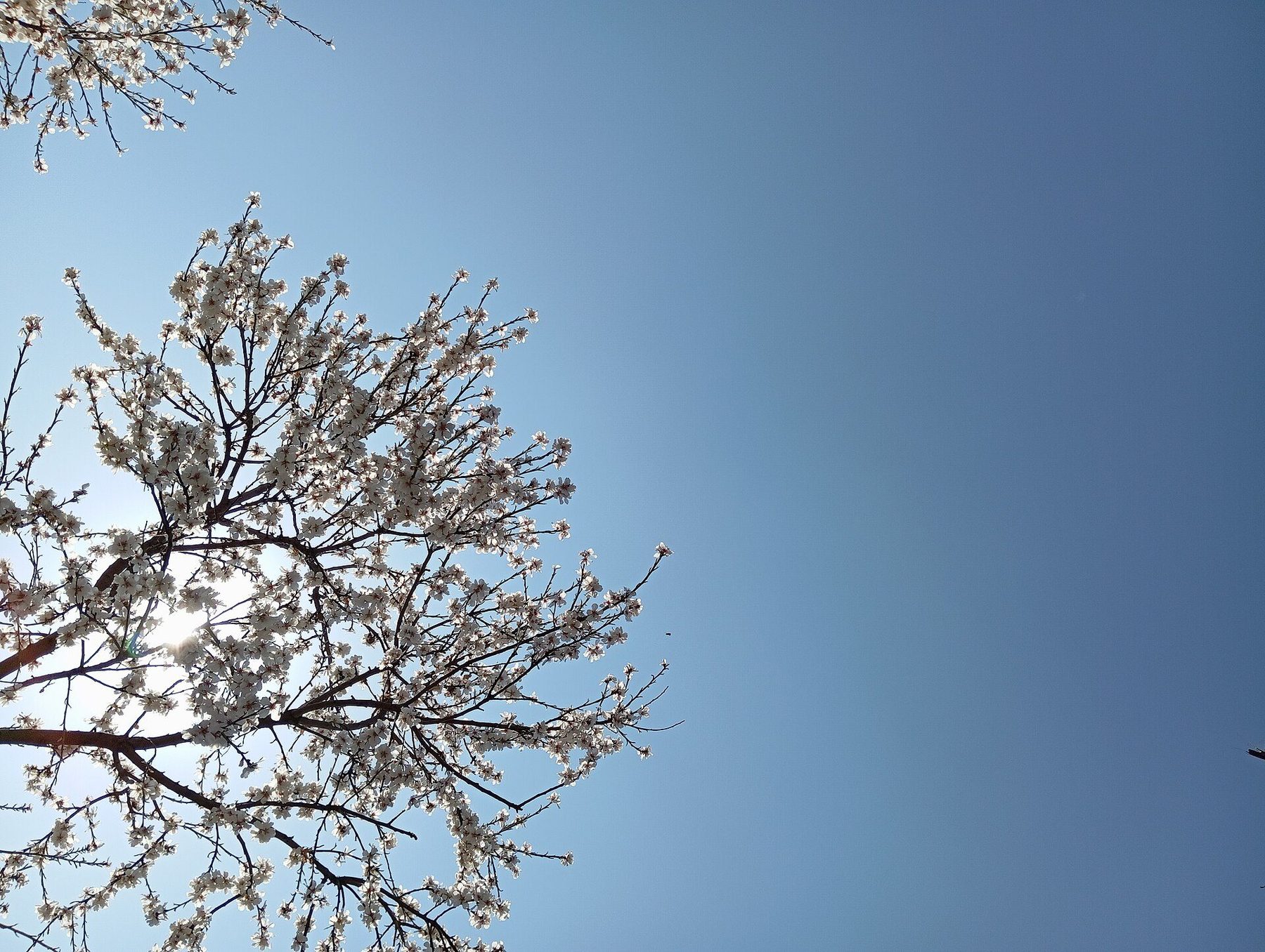 neighborhood in Namangan