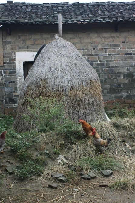 neighborhood in Nanchang