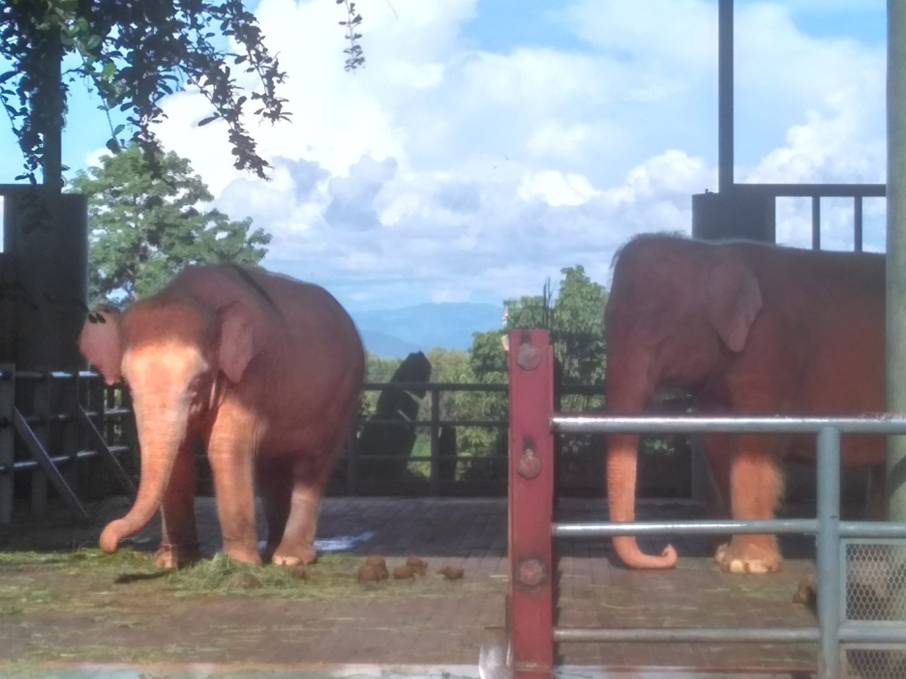 Major attraction in Nay Pyi Taw