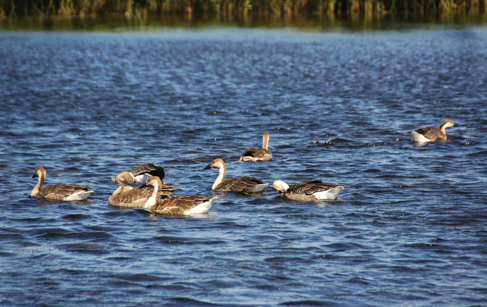neighborhood in Qiqihar