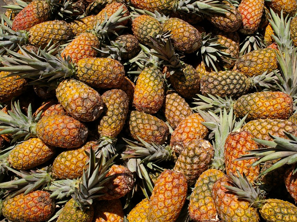 Shopping scene in Recife