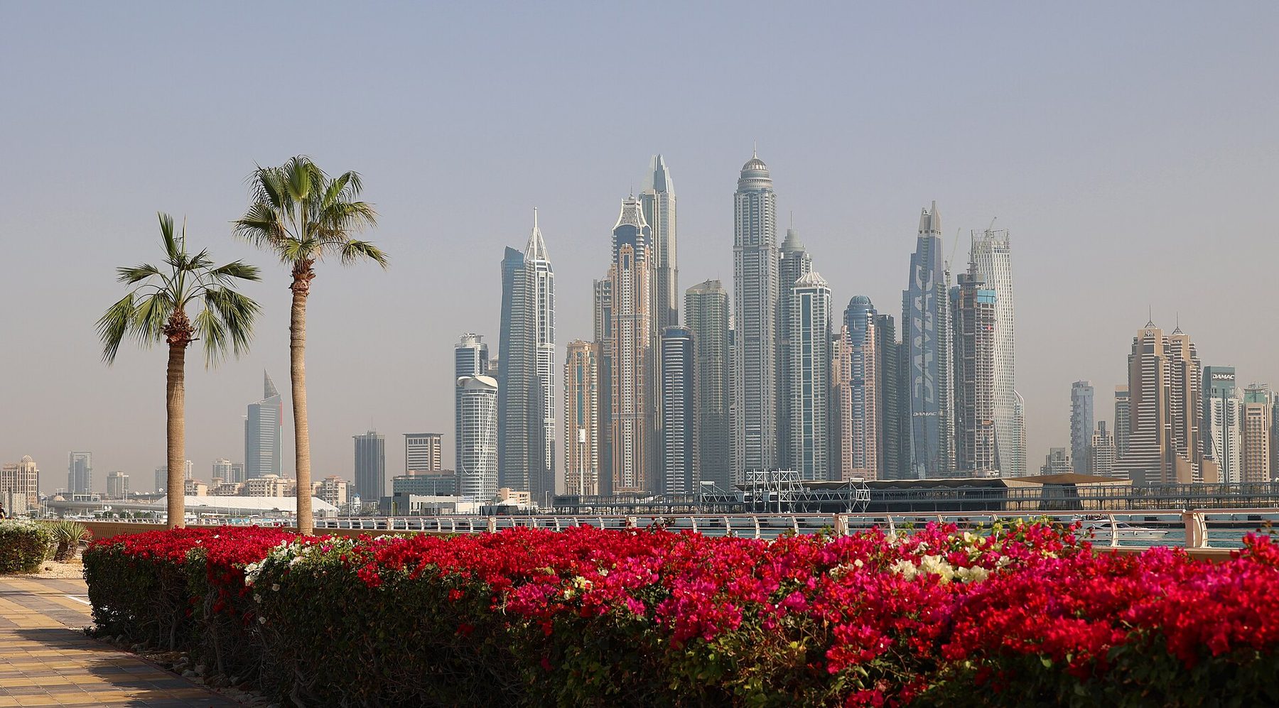 Dubai Marina or Downtown neighborhood