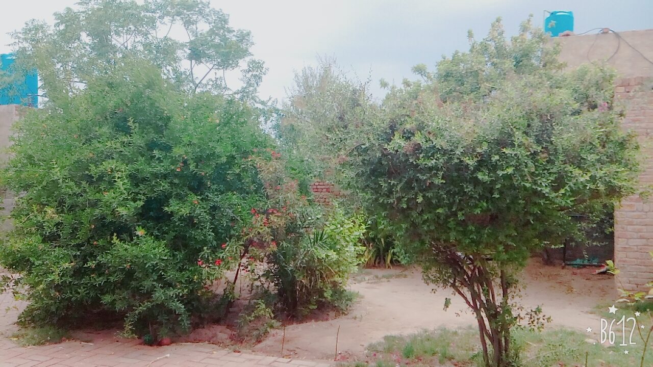 Shopping scene in Sargodha