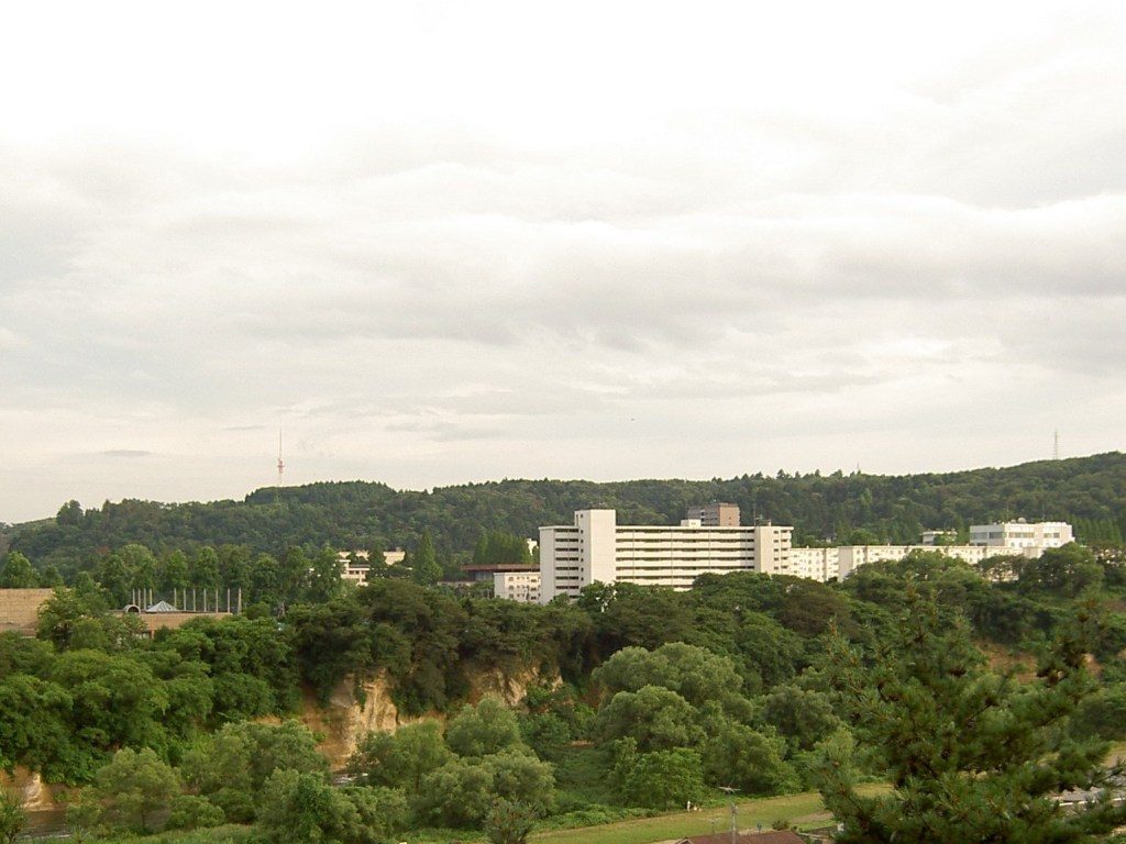 Major attraction in Sendai