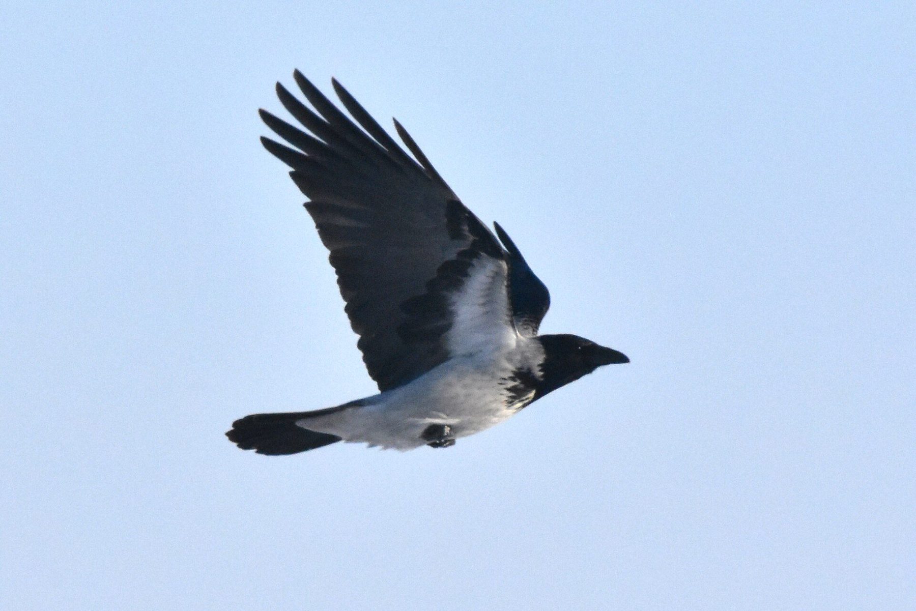 neighborhood in Shymkent