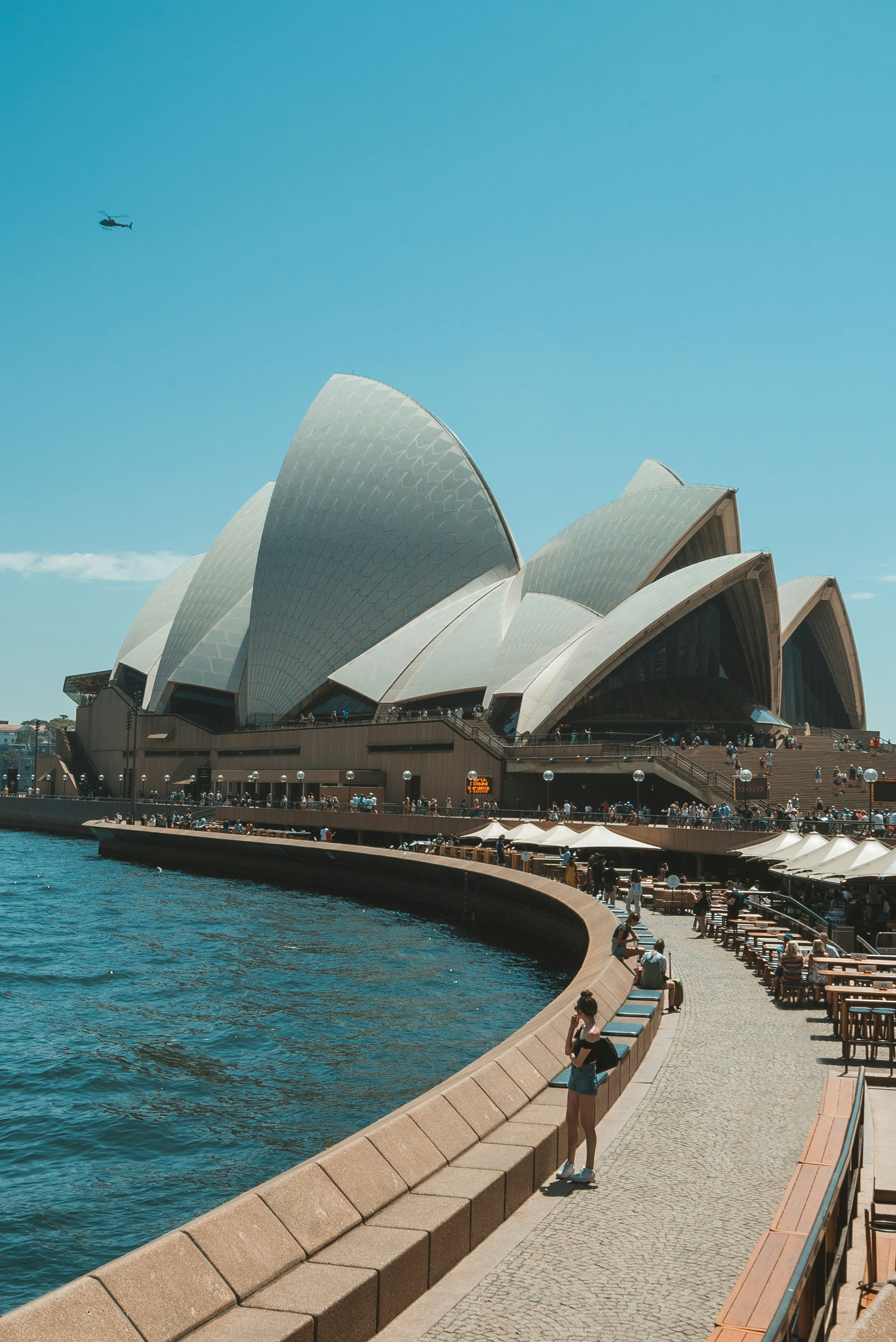 Sydney Opera House and harbor at sunrise
