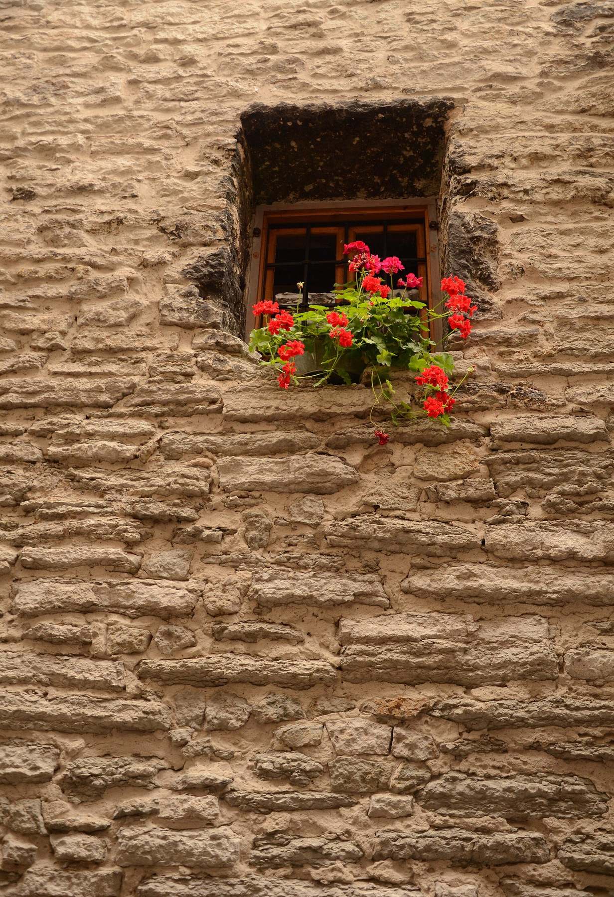 neighborhood in Tallinn