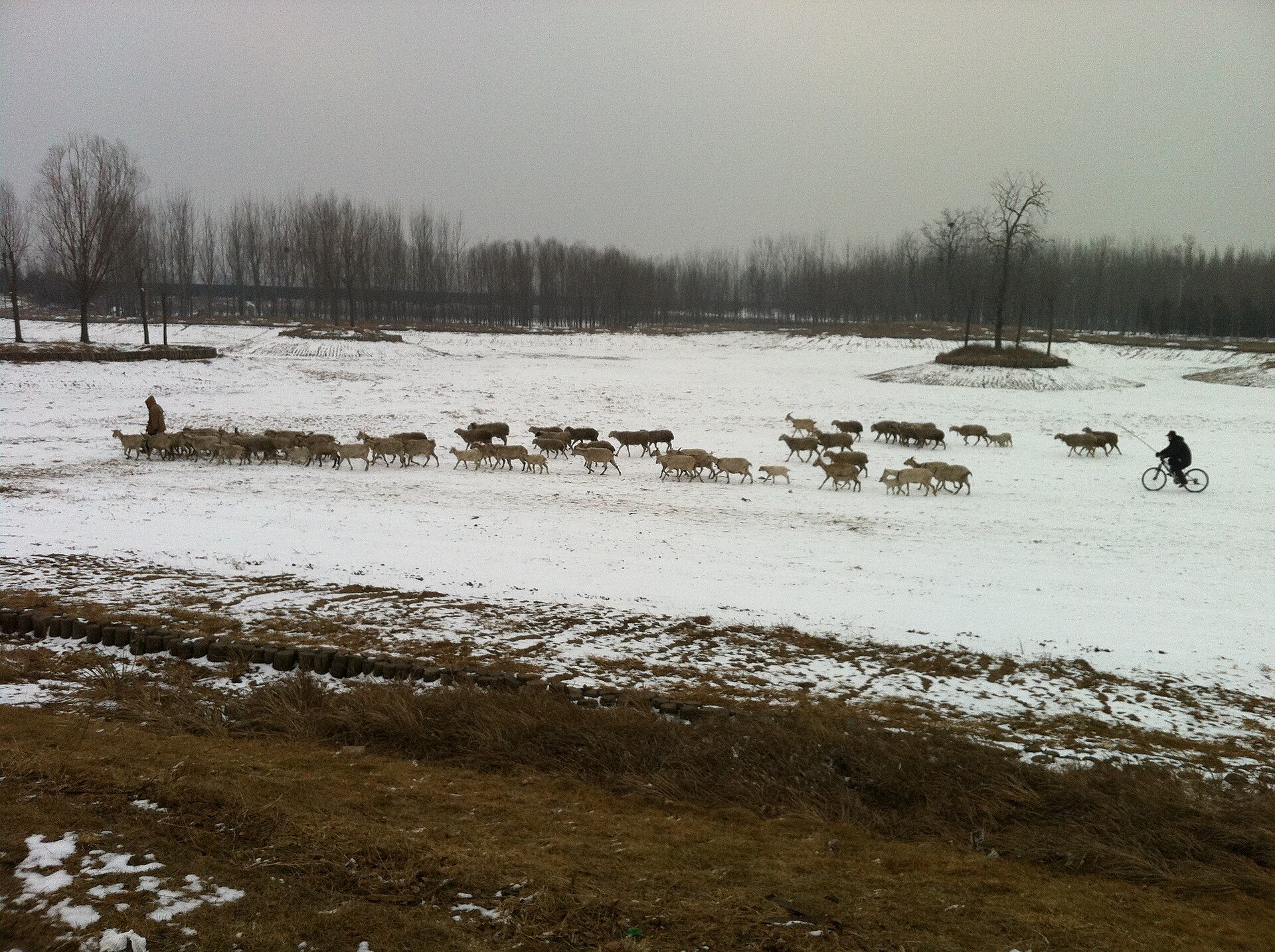 neighborhood in Tangshan