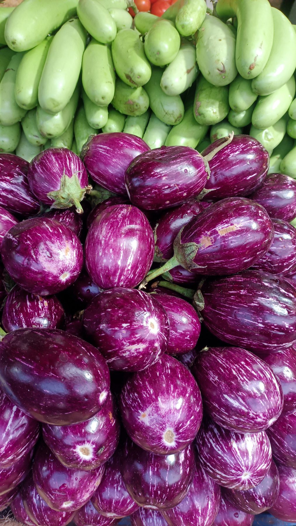 neighborhood in Thiruvananthapuram