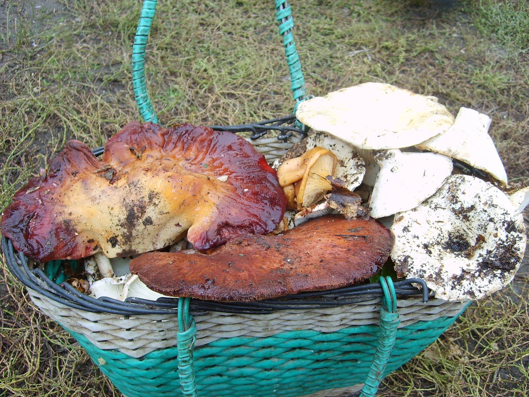 neighborhood in Voronezh