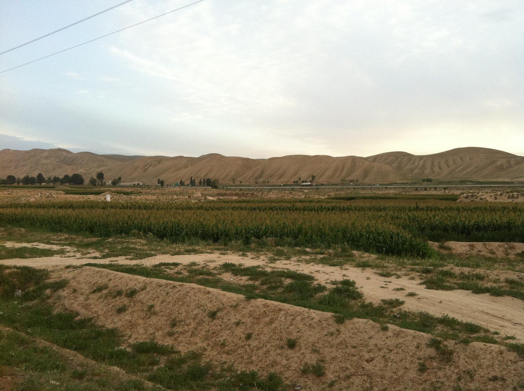 Shopping scene in Wuwei