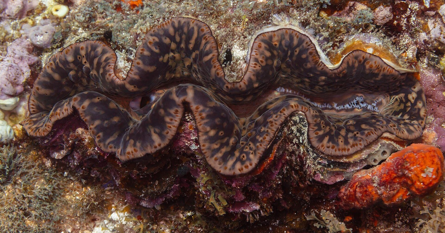 Restaurant scene in Zanzibar